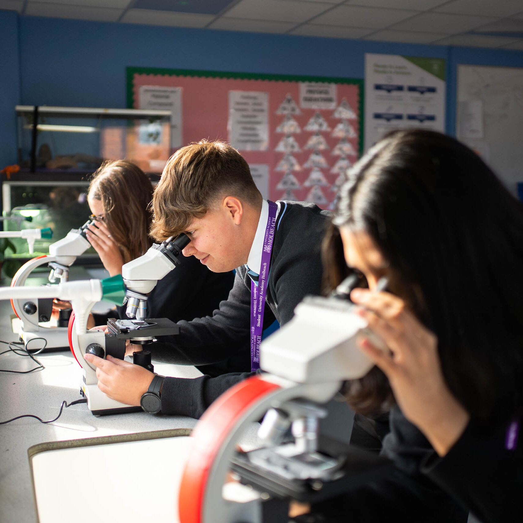 Facilities & Support